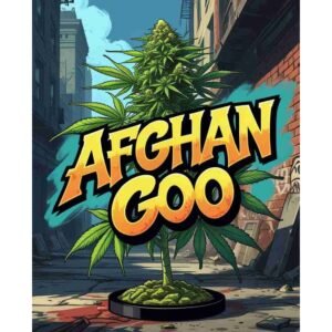 Afghan Goo (AfGoo) Feminised Cannabis Seeds