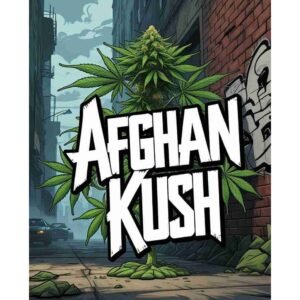 Afghan Kush Feminised Cannabis Seeds