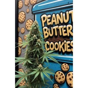 Peanut Butter Cookies Feminised Cannabis Seeds