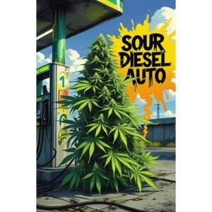 Sour Diesel Auto Cannabis Seeds