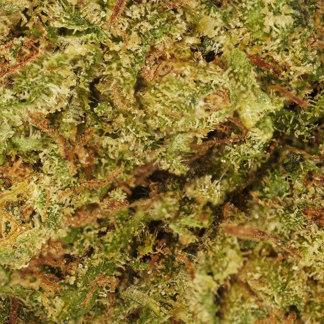 Cookie Kush CBD Flower Tea - Image 2