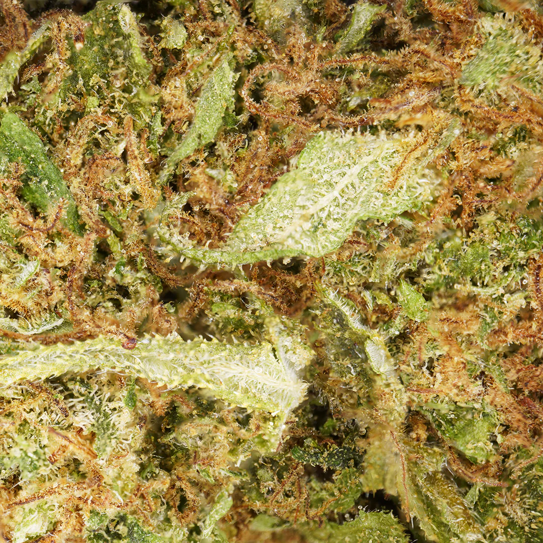 White Widow CBD Flower Tea - Image 2